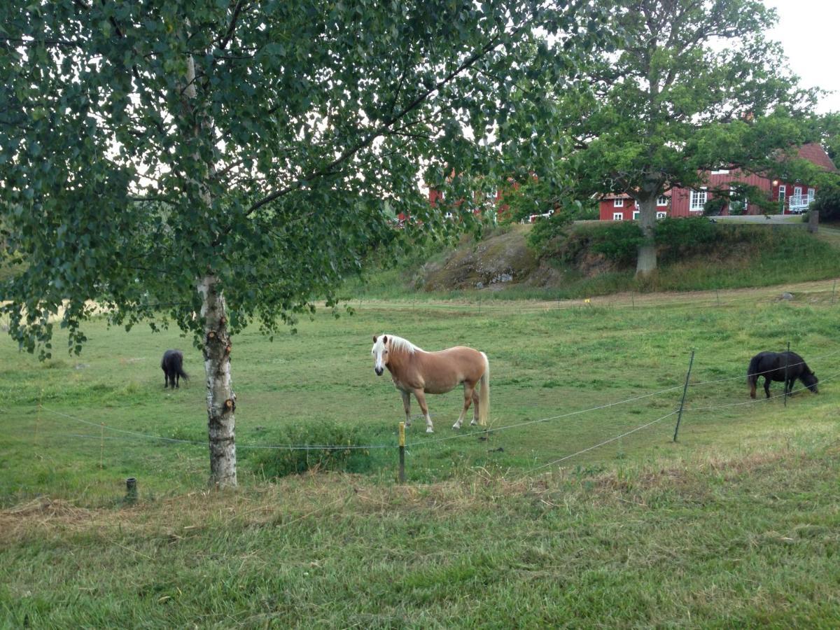 Yxningens Holiday Homes, Cottages And Camping Gusum Bagian luar foto